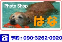 Photo Shop ͂ \F090-3262-0920